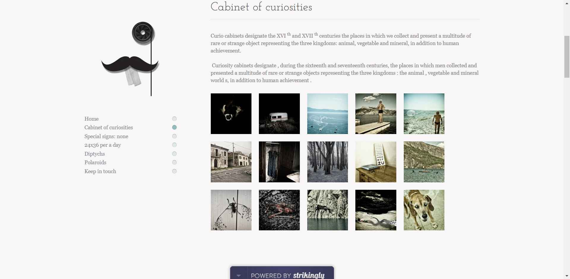 Zinzi Collona Zinzi Collona